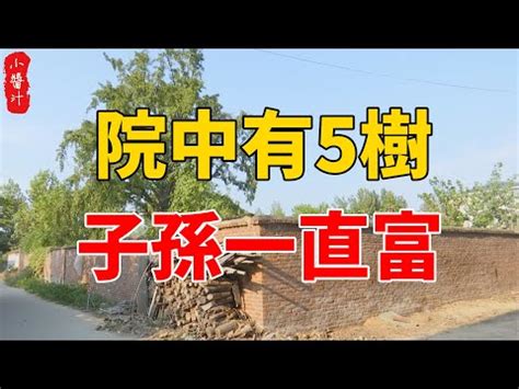 風水 桃花|【桃花樹風水】桃花樹風水：古代風水禁忌與現代居家桃花指南